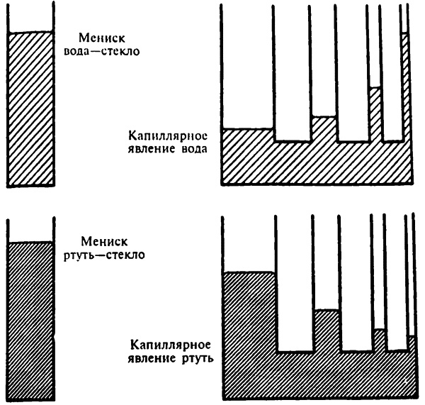 Популярная физика. От архимедова рычага до квантовой теории