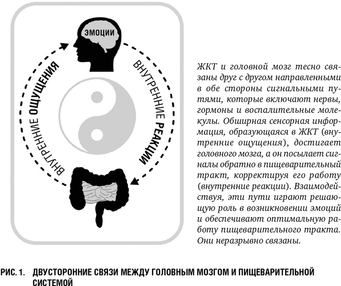 Второй мозг: Как микробы в кишечнике управляют нашим настроением, решениями и здоровьем