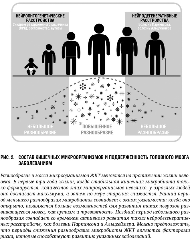 Второй мозг: Как микробы в кишечнике управляют нашим настроением, решениями и здоровьем