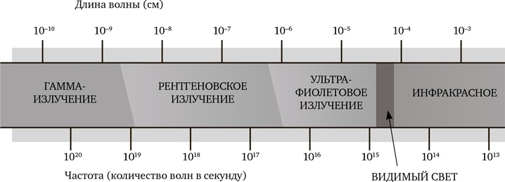 Миллиарды и миллиарды. Размышления о жизни и смерти на рубеже тысячелетий