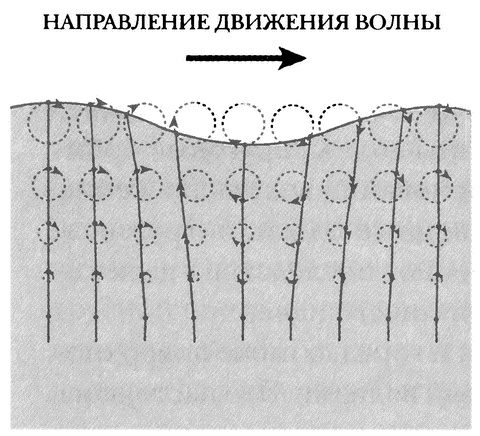 Занимательное волноведение. Волнения и колебания вокруг нас