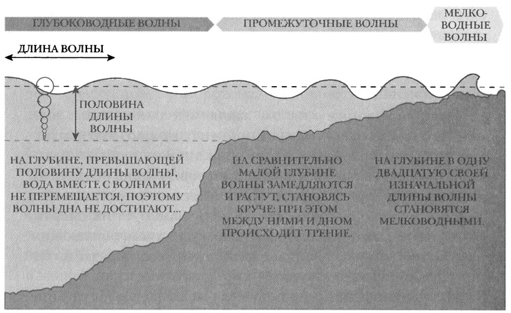 Занимательное волноведение. Волнения и колебания вокруг нас