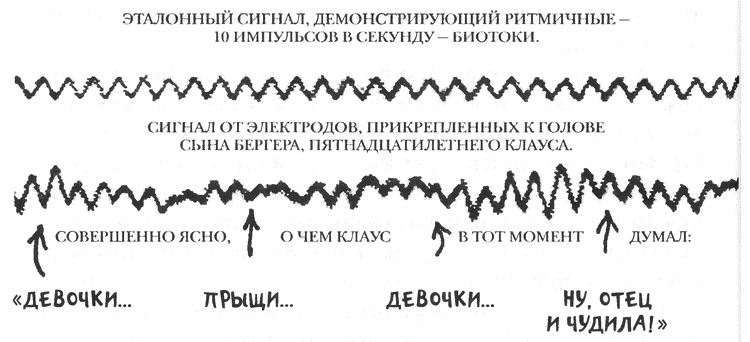 Занимательное волноведение. Волнения и колебания вокруг нас