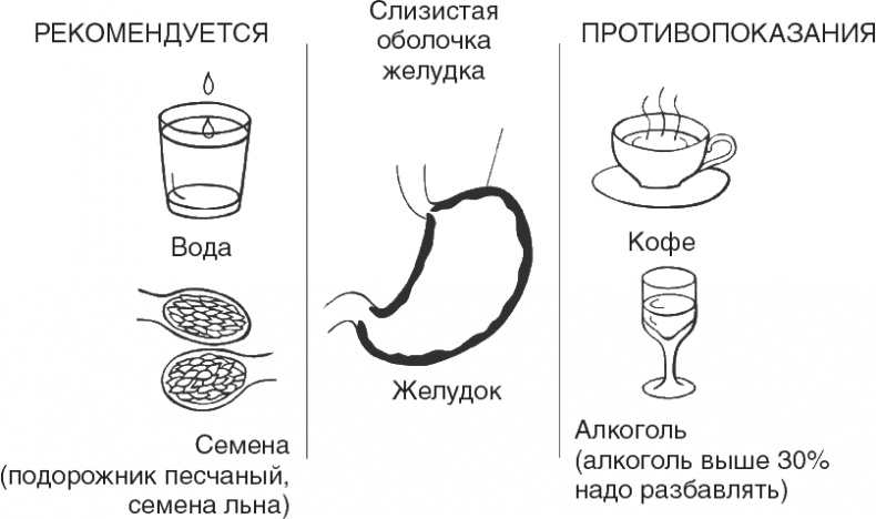 Твой второй мозг - кишечник. Книга-компас по невидимым связям нашего тела