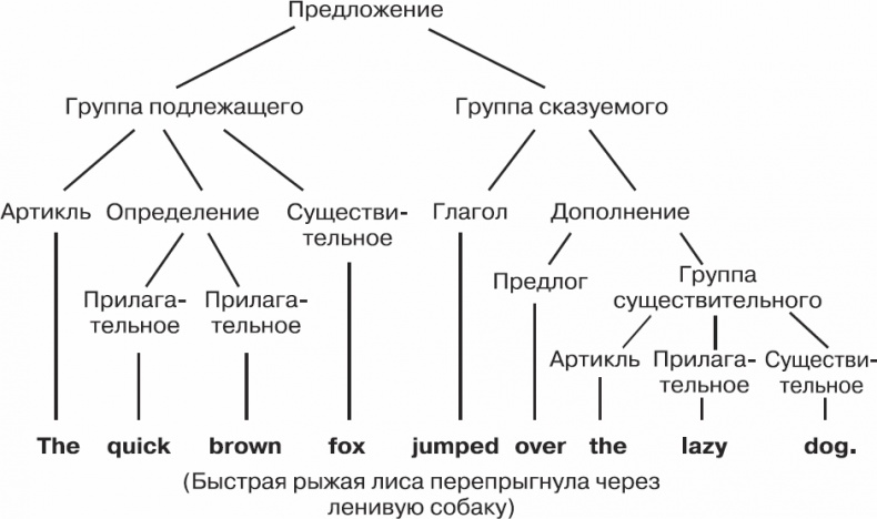 Золотой билет. P, NP и границы возможного