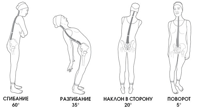 Диагностика и лечение позвоночника. Уникальная система доктора А. М. Уриа