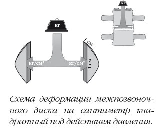 Диагностика и лечение позвоночника. Уникальная система доктора А. М. Уриа