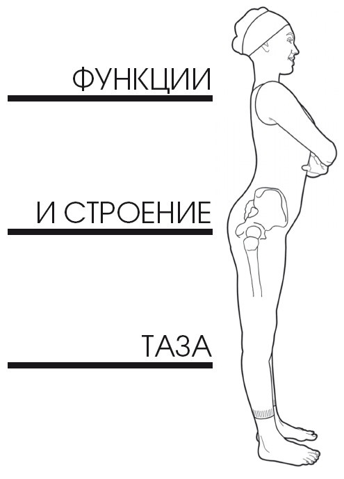 Диагностика и лечение позвоночника. Уникальная система доктора А. М. Уриа