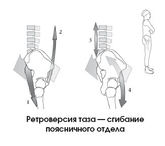 Диагностика и лечение позвоночника. Уникальная система доктора А. М. Уриа