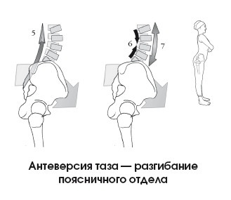 Диагностика и лечение позвоночника. Уникальная система доктора А. М. Уриа