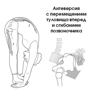 Диагностика и лечение позвоночника. Уникальная система доктора А. М. Уриа