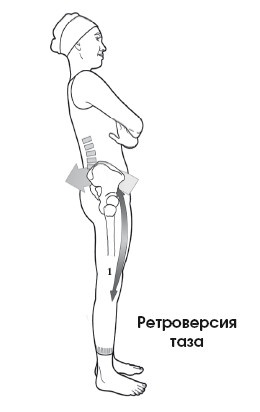 Диагностика и лечение позвоночника. Уникальная система доктора А. М. Уриа