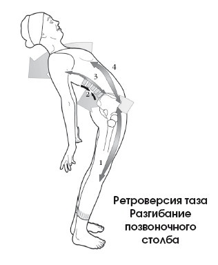 Диагностика и лечение позвоночника. Уникальная система доктора А. М. Уриа