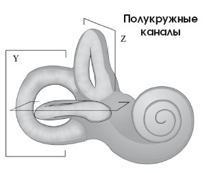 Диагностика и лечение позвоночника. Уникальная система доктора А. М. Уриа