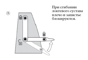 Диагностика и лечение позвоночника. Уникальная система доктора А. М. Уриа