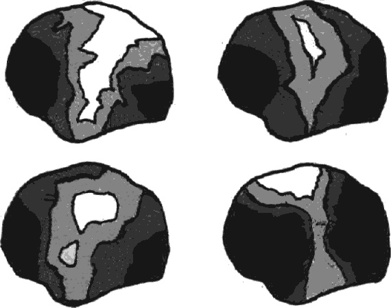 Голографическая Вселенная. Новая теория реальности