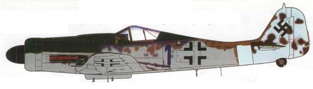 Focke Wulf Fw 190D Ta 15