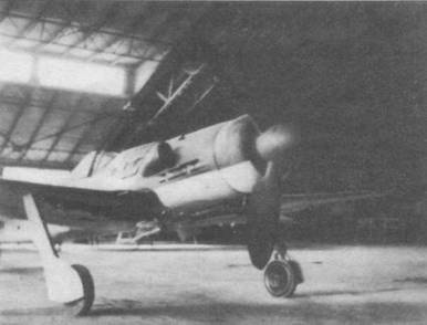 Focke Wulf Fw 190D Ta 15