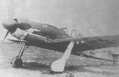 Focke Wulf Fw 190D Ta 15