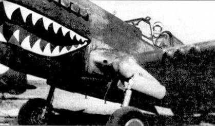 Curtiss P-40. Часть 4