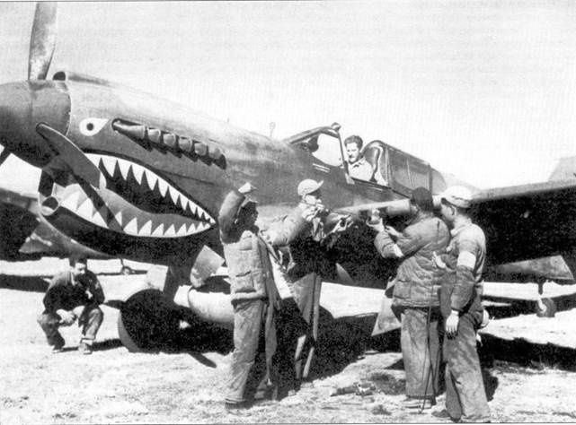 Curtiss P-40. Часть 4