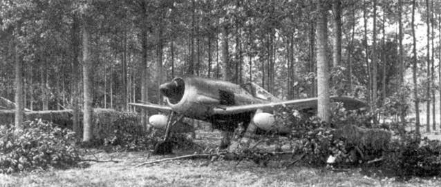 Асы люфтваффе пилоты Fw 190 на Западном фронте