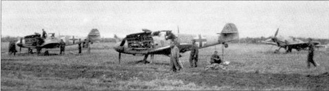 Асы Люфтваффе Пилоты люфтваффе Bf 109 на Восточном Фронте