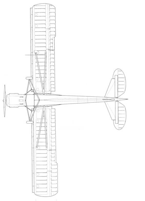 Fieseler Storch