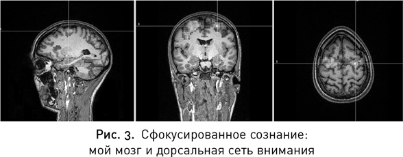 Мой продуктивный мозг. Как я проверила на себе лучшие методики саморазвития и что из этого вышло