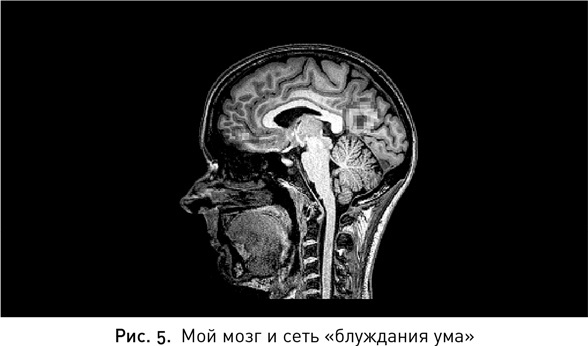 Мой продуктивный мозг. Как я проверила на себе лучшие методики саморазвития и что из этого вышло