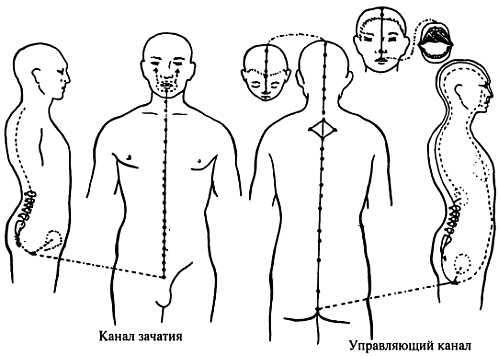 Корни китайского цигун. Секреты успешной практики