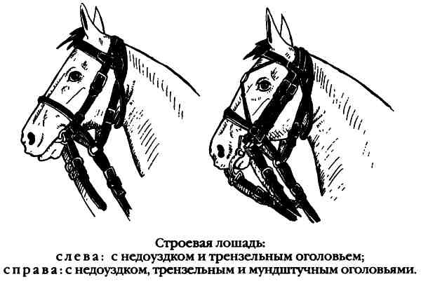 Повседневная жизнь русского гусара в царствование императора Александра I