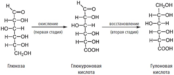 Пуговицы Наполеона. Семнадцать молекул, которые изменили мир