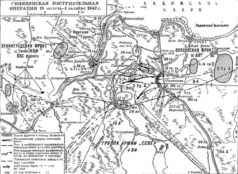 "Танки, вперед". Курьезы танковой войны в битве за Ленинград 1941-1944 гг.