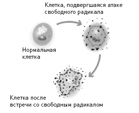 Кето-диета. Революционная система питания, которая поможет похудеть и научит ваш организм превращать жиры в энергию