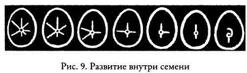 Тайные знания догонов об истоках человечества