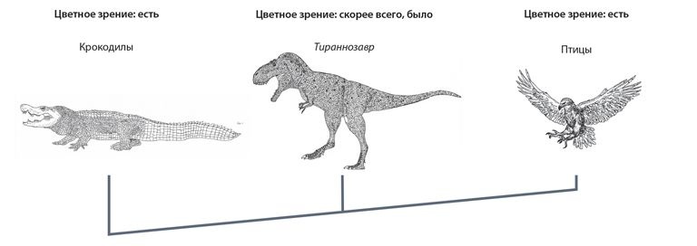 Динозавры. 150 000 000 лет господства на Земле