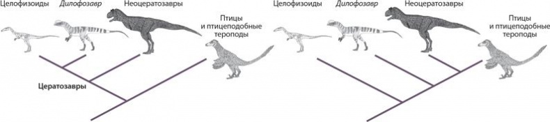 Динозавры. 150 000 000 лет господства на Земле