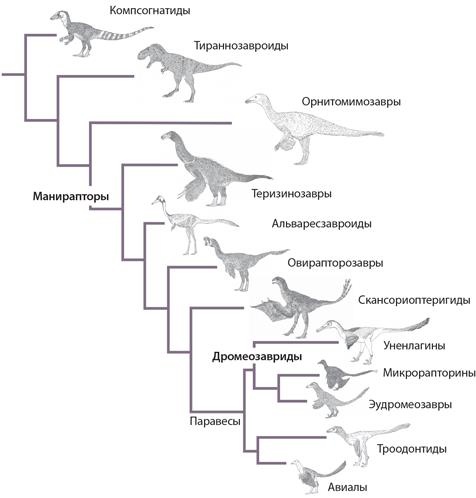 Динозавры. 150 000 000 лет господства на Земле