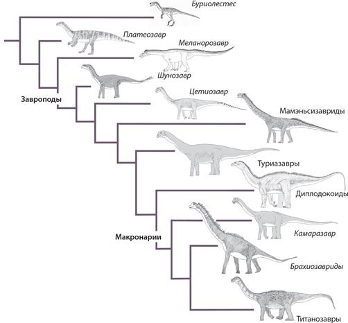 Динозавры. 150 000 000 лет господства на Земле