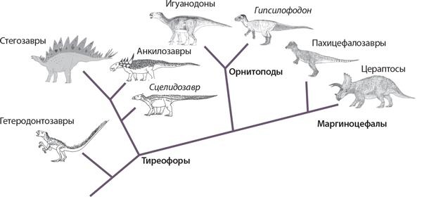 Динозавры. 150 000 000 лет господства на Земле