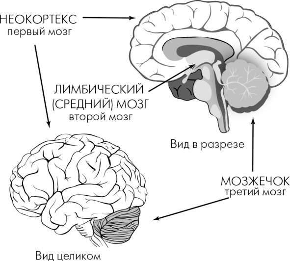 Я Вас слушаю! Или как подружить Фому с Ерёмой