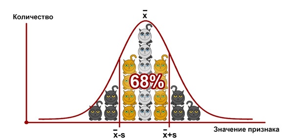 Статистика и котики