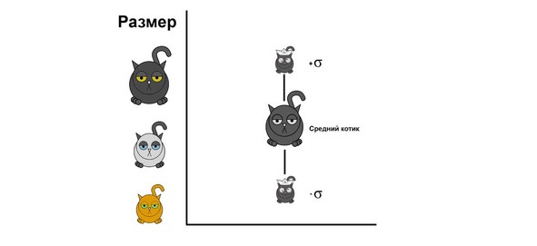Статистика и котики