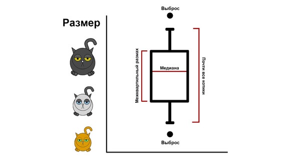 Статистика и котики