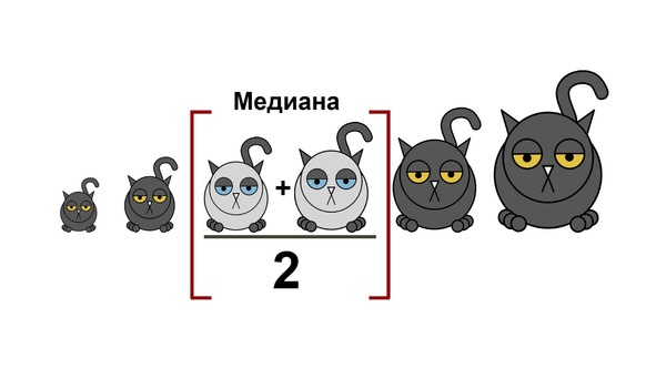 Статистика и котики