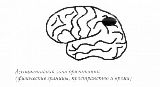 Мой инсульт был мне наукой. История собственной болезни, рассказанная нейробиологом