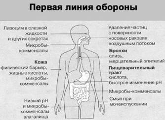 Имя ему СПИД. Четвертый всадник Апокалипсиса