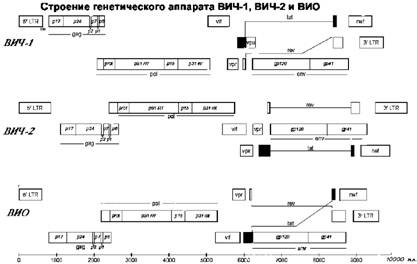 Имя ему СПИД. Четвертый всадник Апокалипсиса