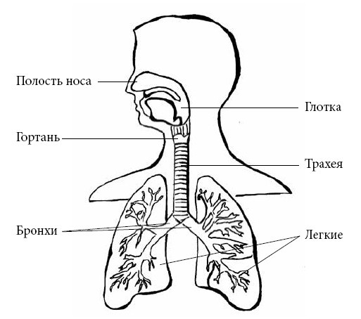 Если ваш ребенок заболел. Что должны знать и уметь родители